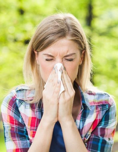 Allergies : le bouleau sort du bois, les graminées sont en embuscade